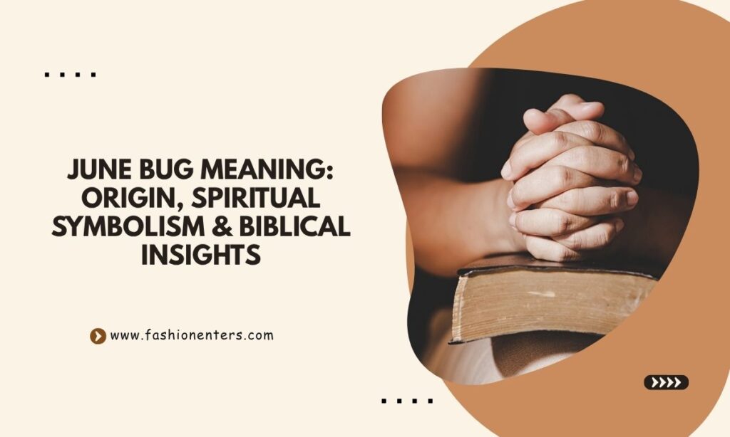June Bug Meaning Origin, Spiritual Symbolism & Biblical Insights
