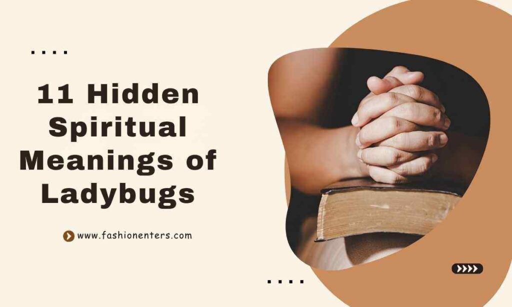 11 Hidden Spiritual Meanings of Ladybugs