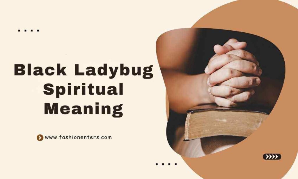 Black Ladybug Spiritual Meaning
