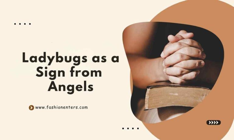 Ladybugs as a Sign from Angels Feature Image