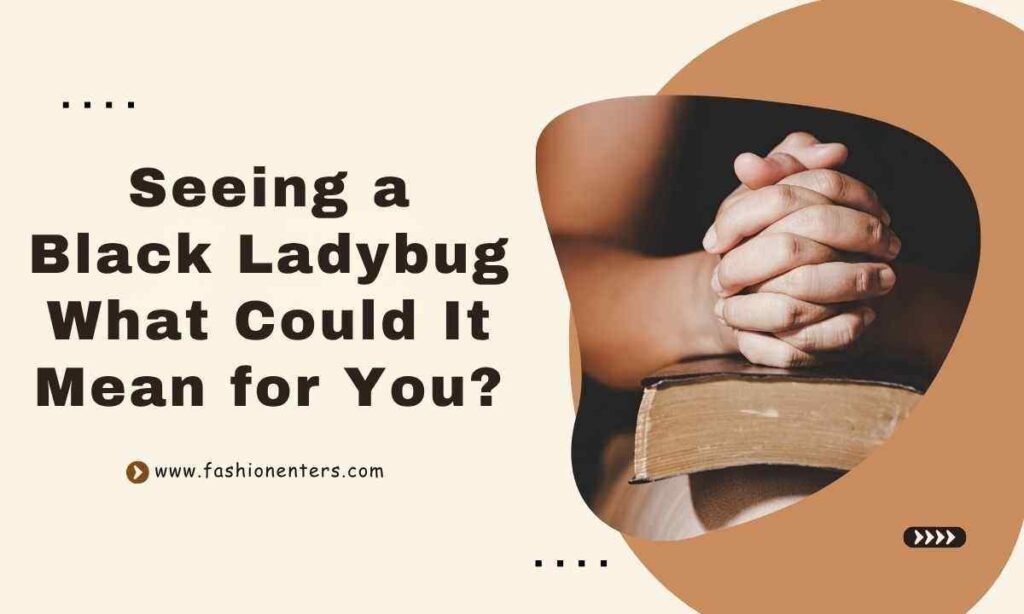 Seeing a Black Ladybug What Could It Mean for You