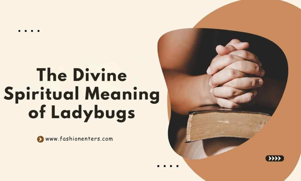 The Divine Spiritual Meaning of Ladybugs