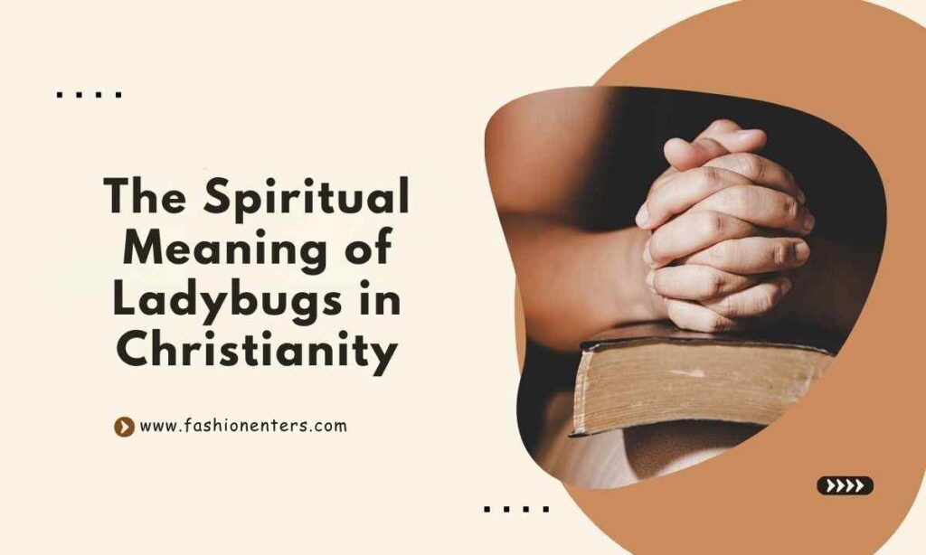 The Spiritual Meaning of Ladybugs in Christianity
